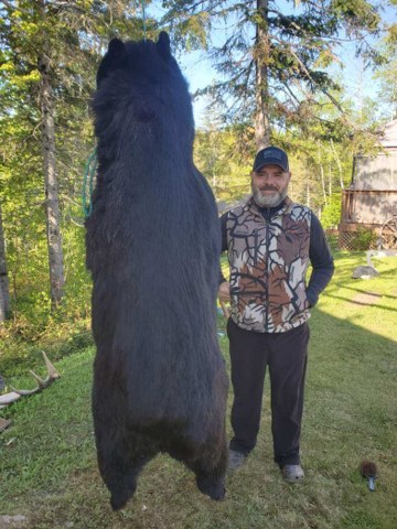 Bear Hunt