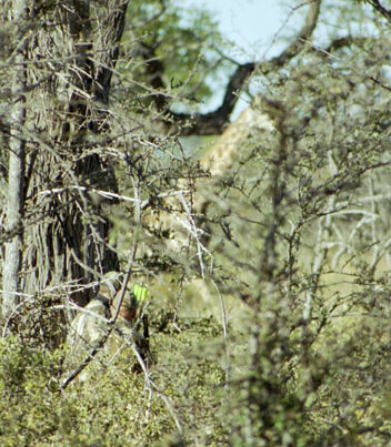 Hunting Trips