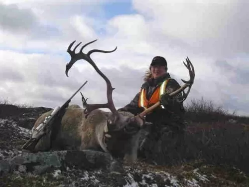 Quebec 2007 Caribou Bull