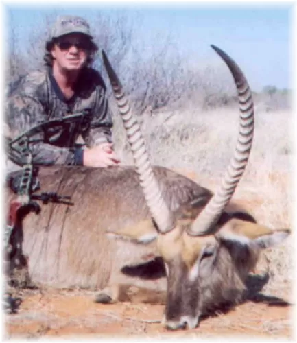 Huge 30 Inch Waterbuck