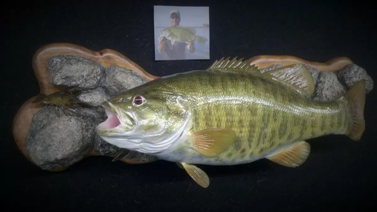 Fish 1