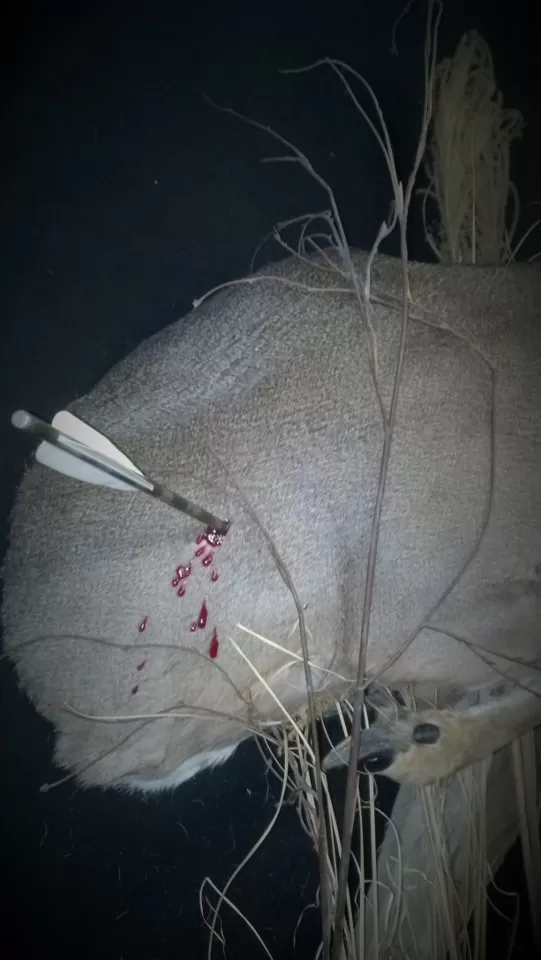 Whitetail Mount 15
