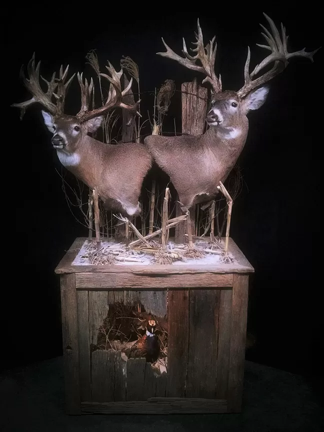 Whitetail Mount 109