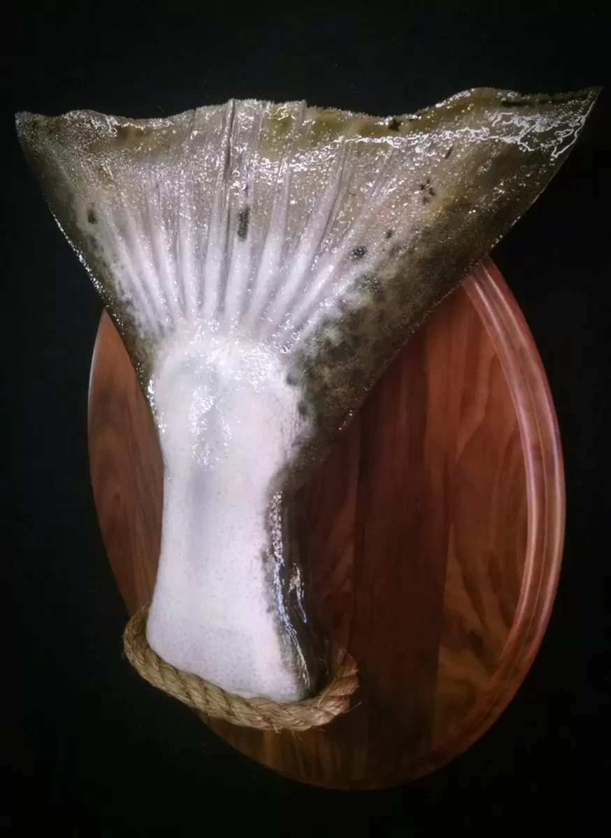 Fish 28