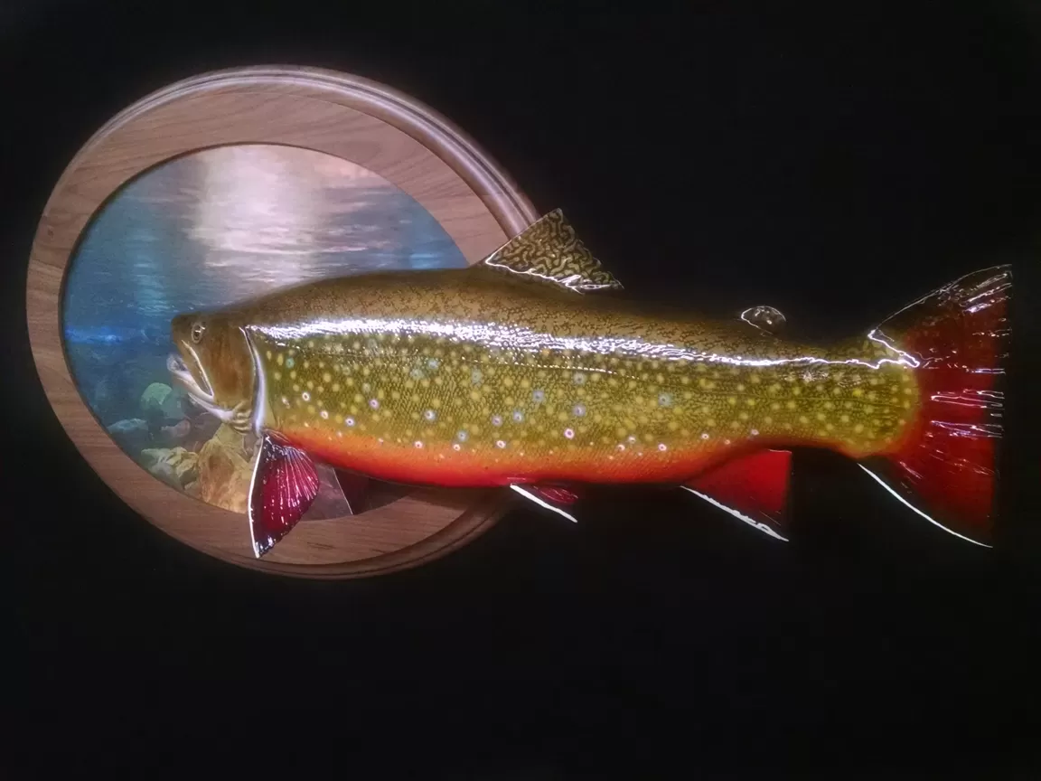 Fish 29