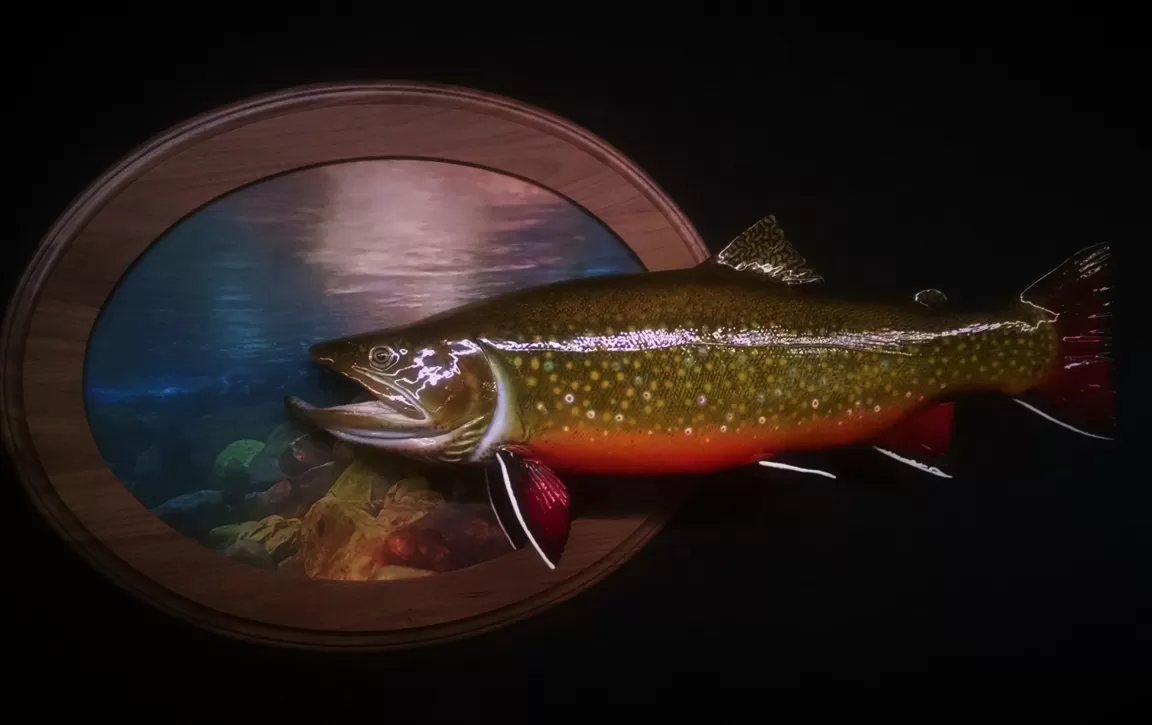 Fish 30