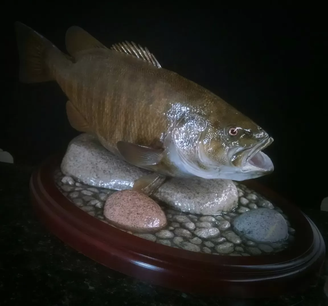 Fish 36