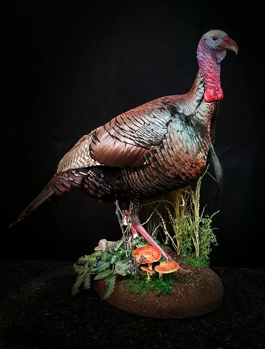 Turkey 0