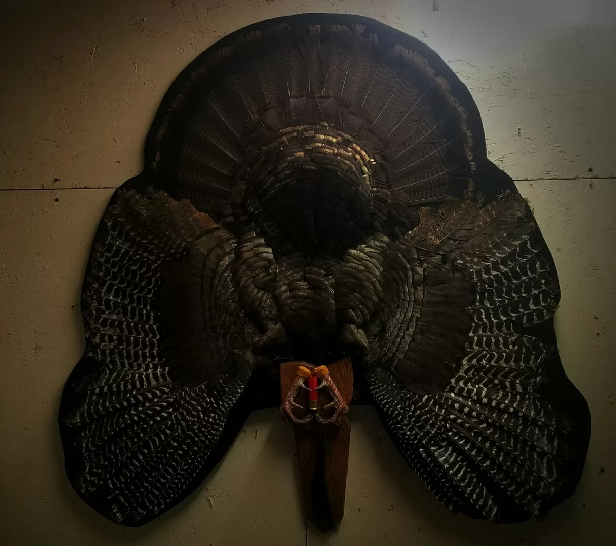 Turkey 9