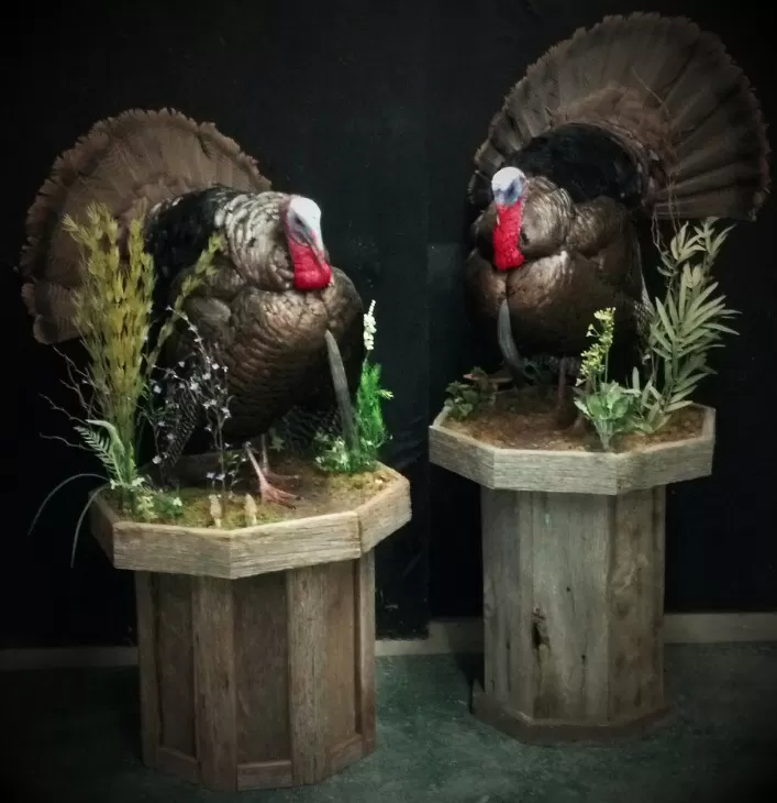Turkey 23
