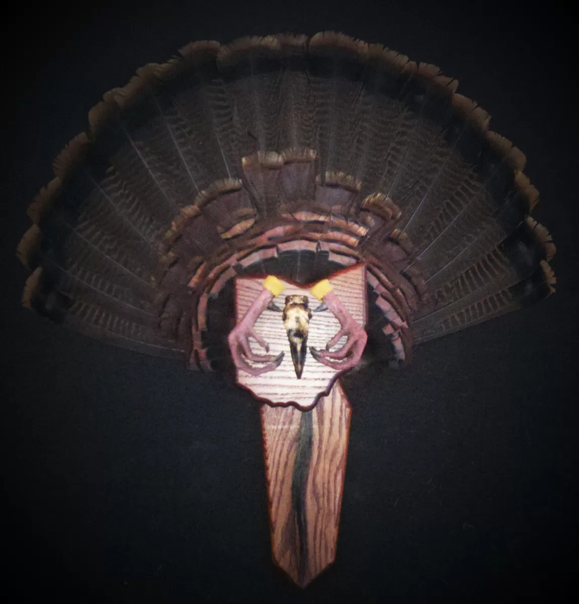 Turkey 26