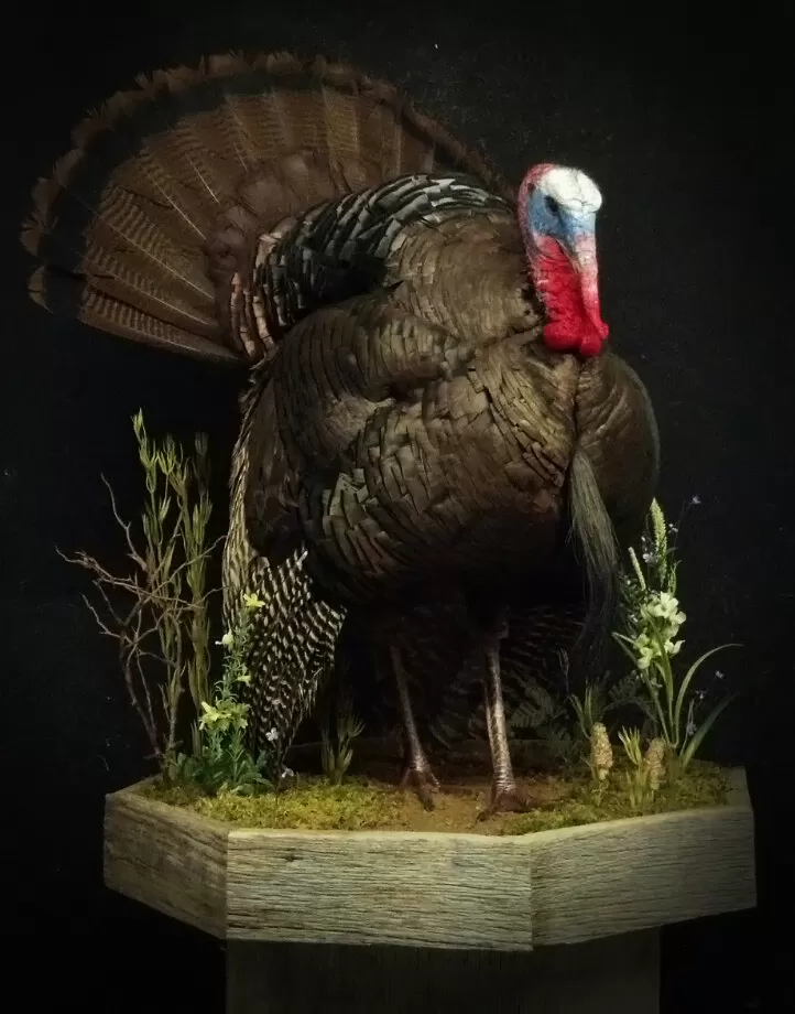 Turkey 27