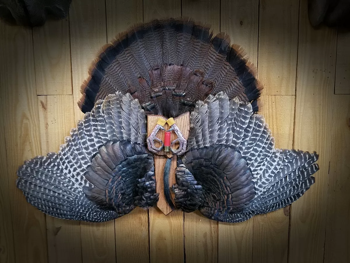 Turkey 31