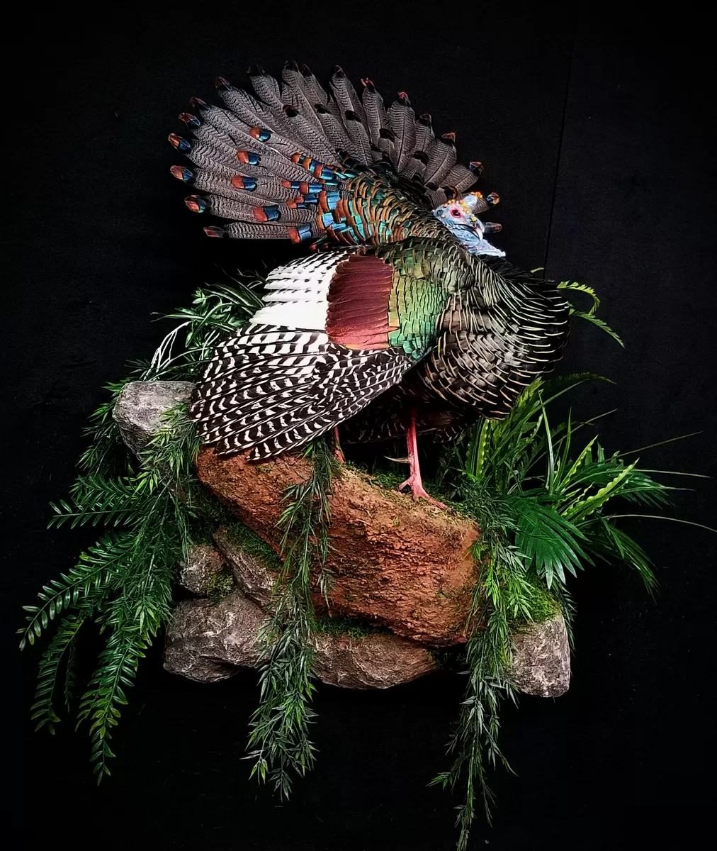 Turkey 35