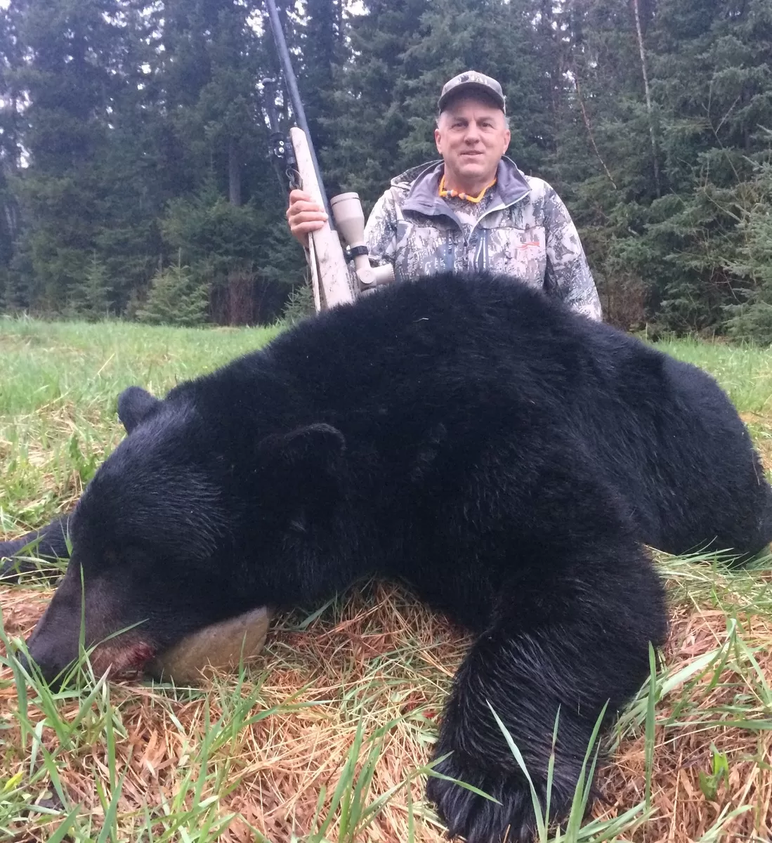 Spring black bear 0