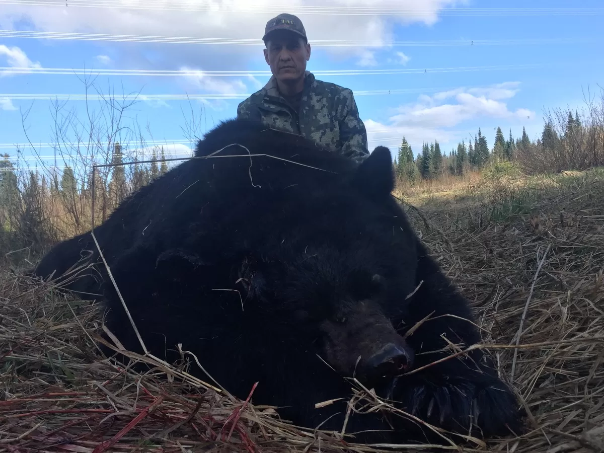 Spring black bear 2