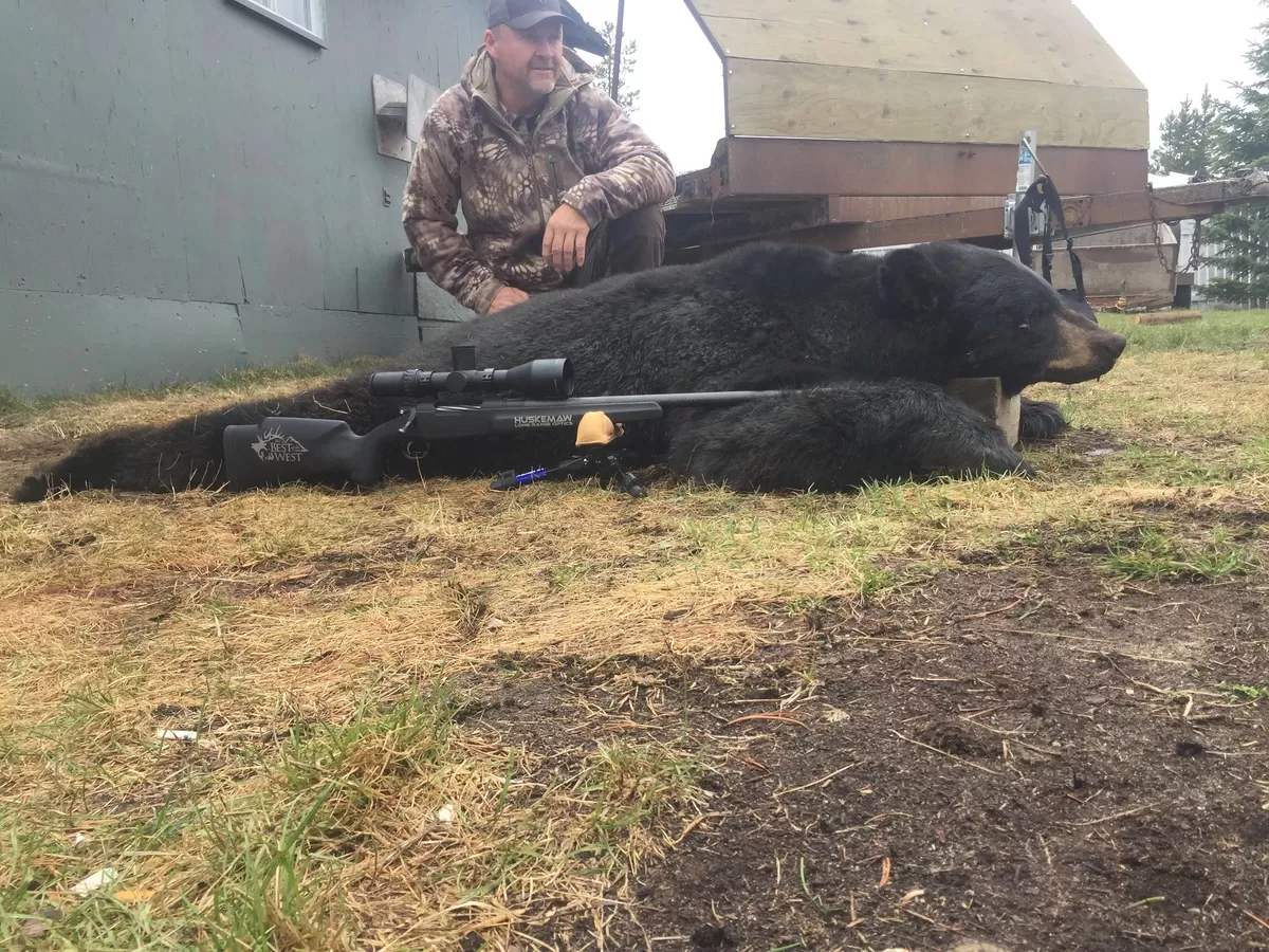 Spring black bear 3