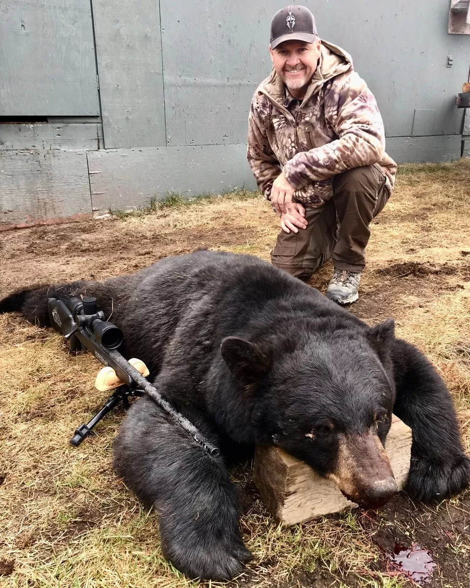 Spring black bear 4