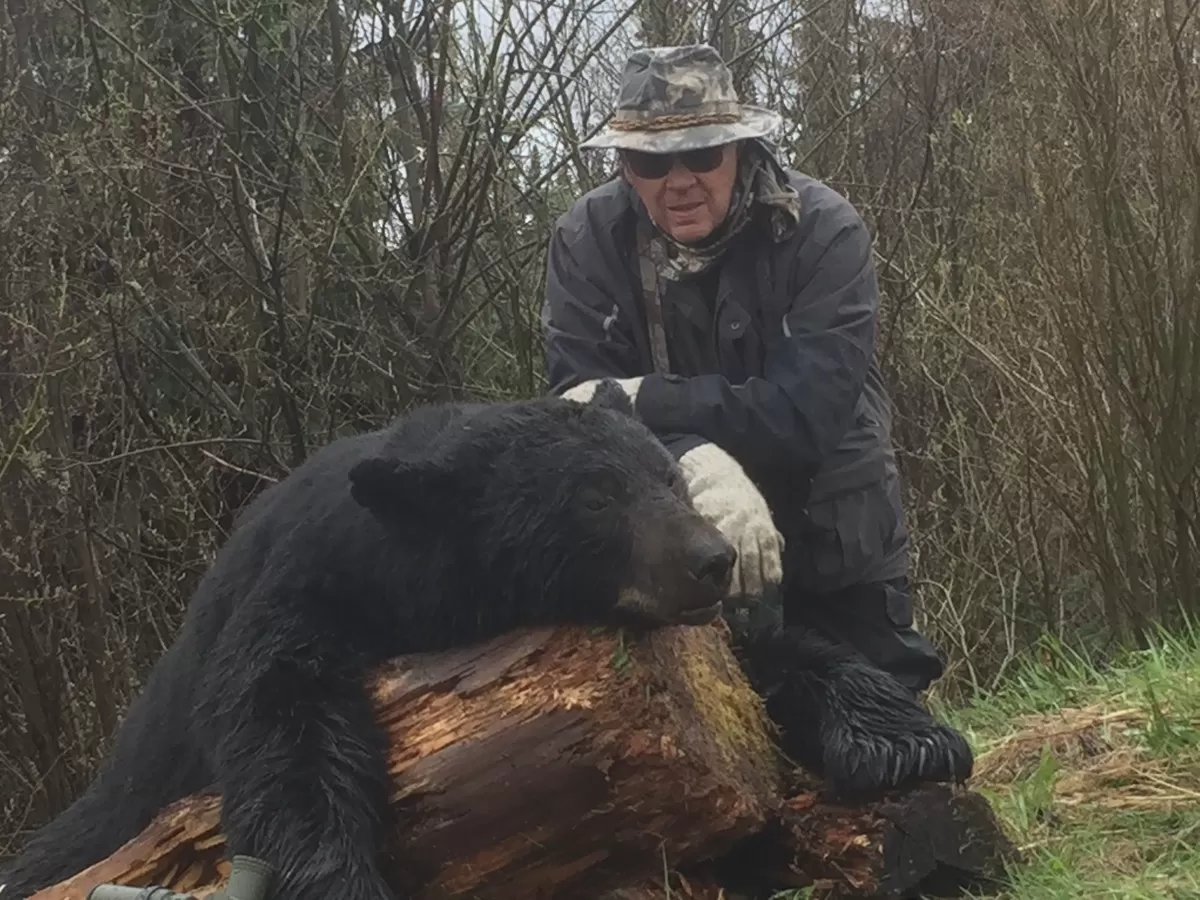 Spring black bear 13