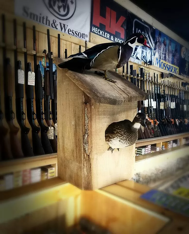 Bird Mount 25
