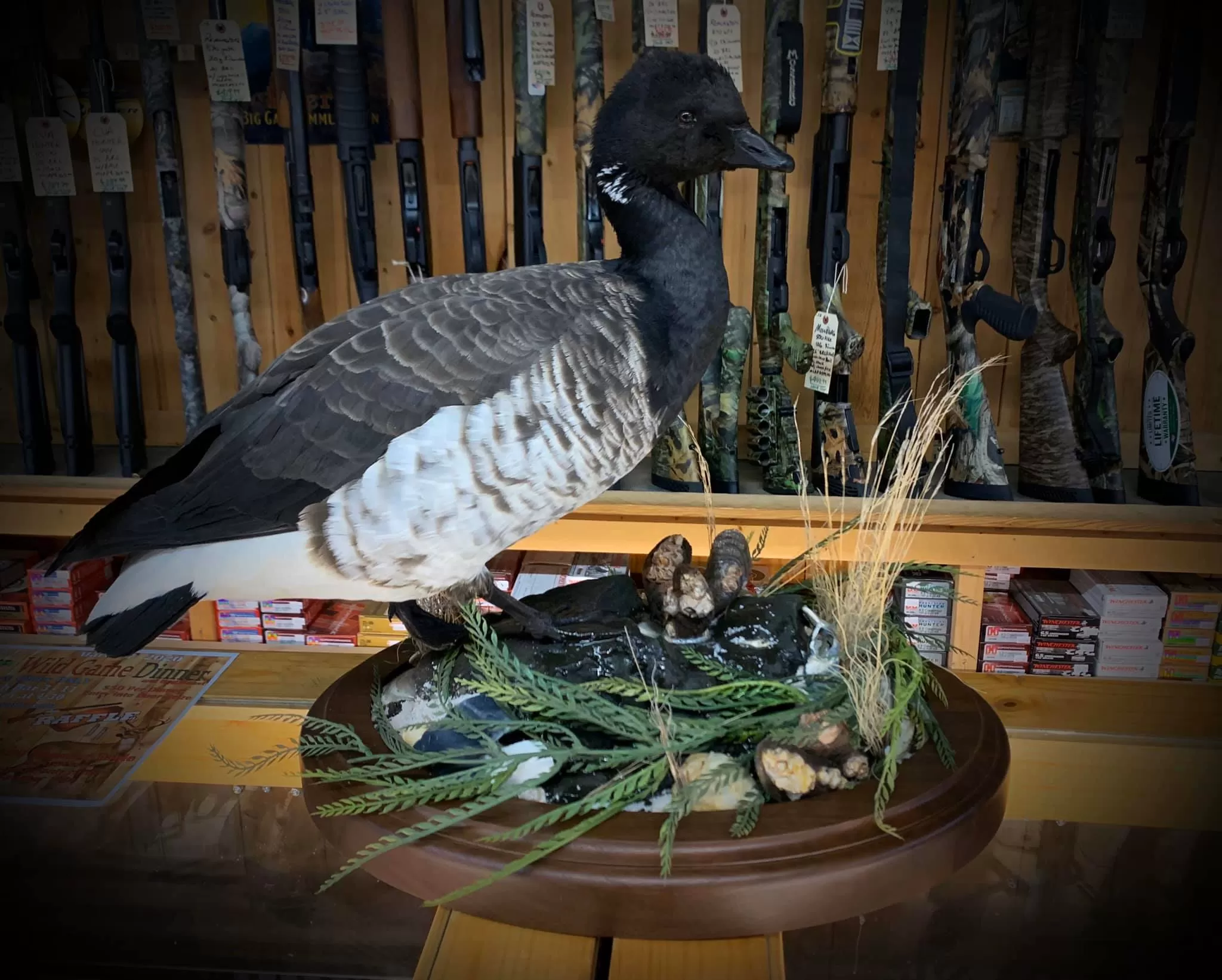 Bird Mount 48