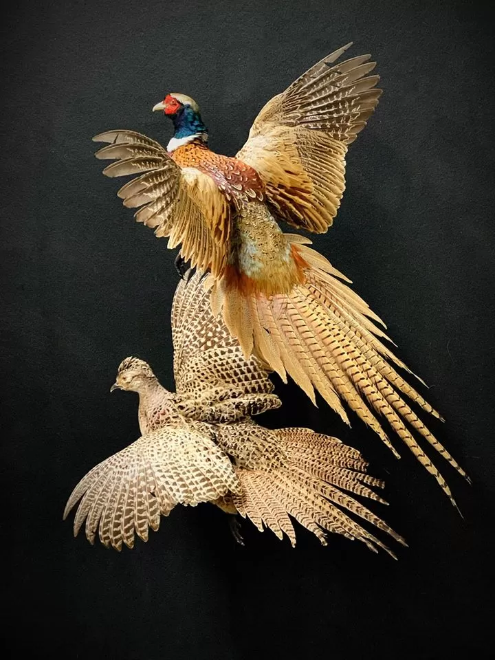 Bird Mount 45
