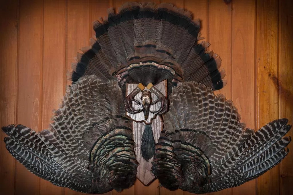 Turkey 51