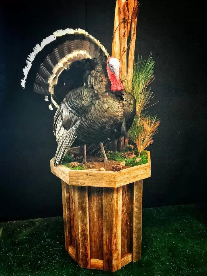 Turkey 50