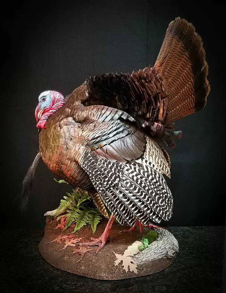 Turkey 45