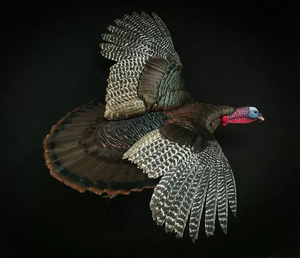 Turkey 59