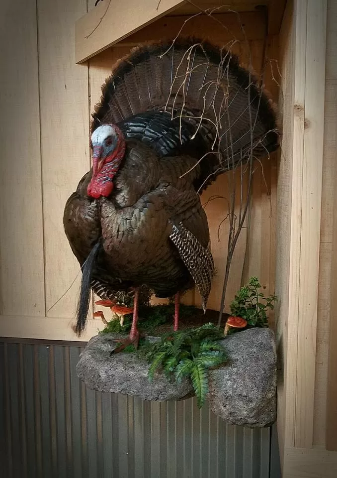 Turkey 55