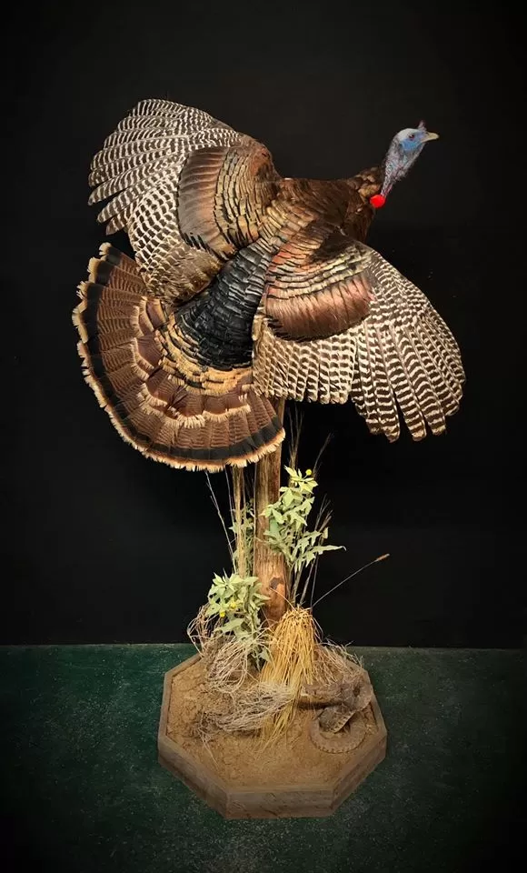 Turkey 57