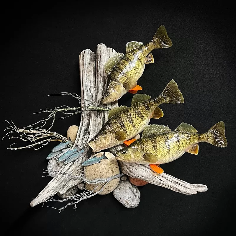 Fish Reproductions Taxidermy