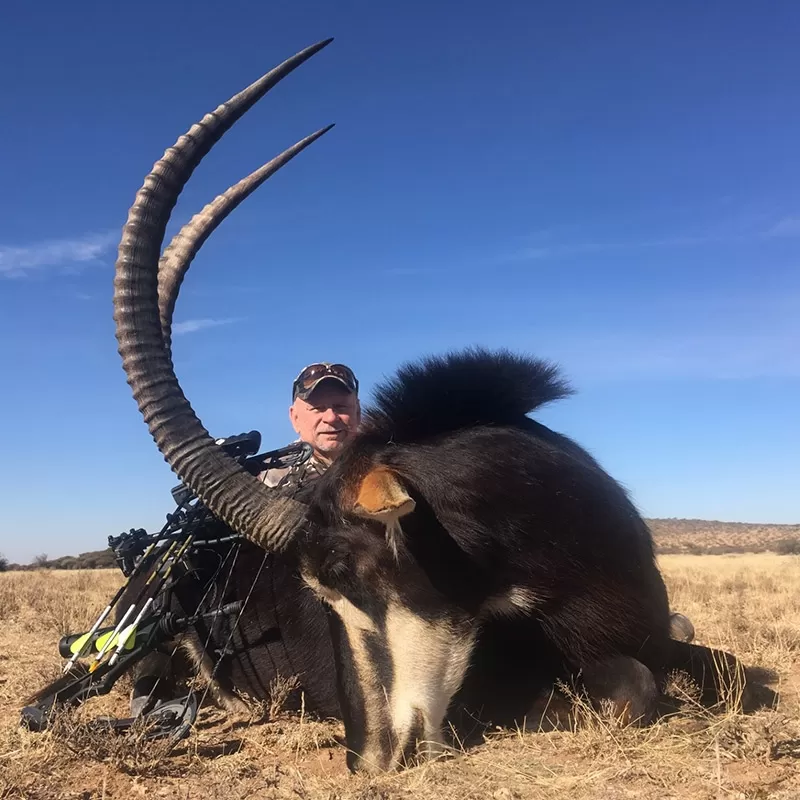 African Hunt and Safari
