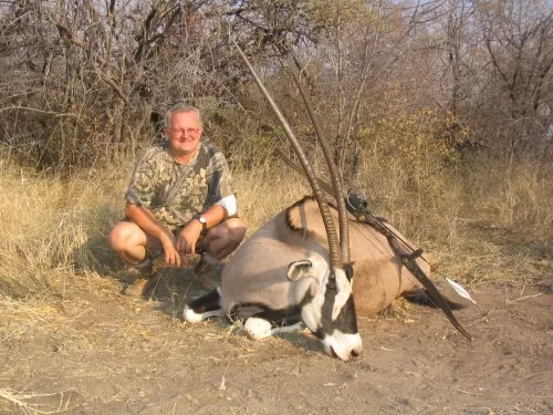 41 inch Gemsbuck