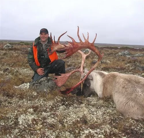Quebec Labrador Caribou