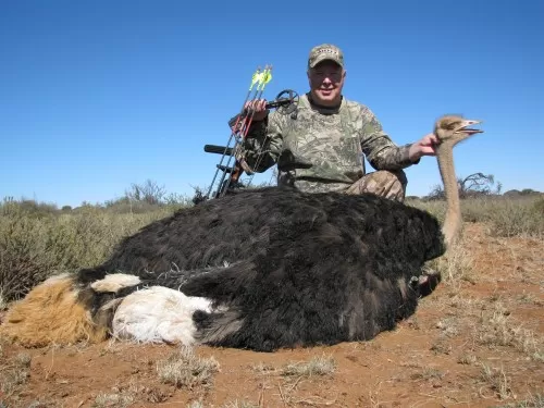 7 And A Half Feet Of Fury