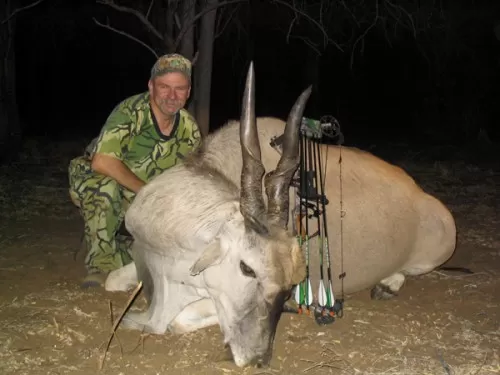 Toneys Big Eland Bull