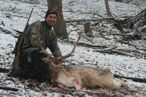 John Wulff Fallow Buck