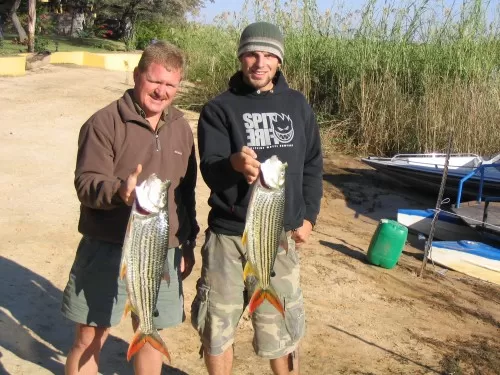 Fishing For Tigers In Namibia