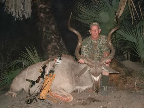 Big Kudu Bull
