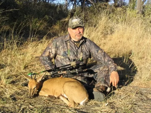 Toney's 4 inch Duiker
