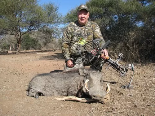 Mikeys Excellent Warthog