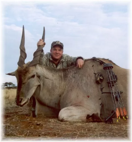 Beautiful Mature South African Eland