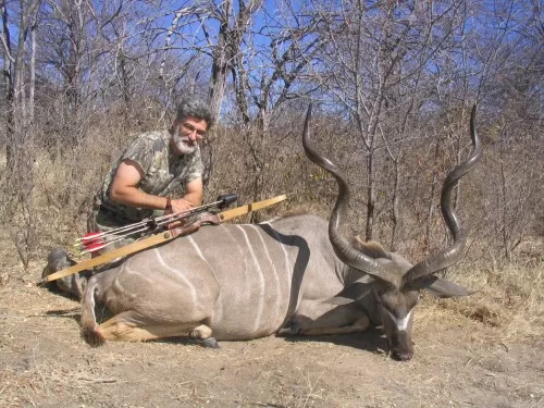 59 inch Kudu Bull