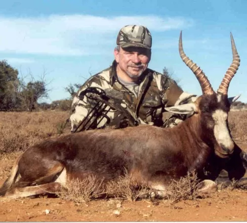 Toneys South African Blesbuck