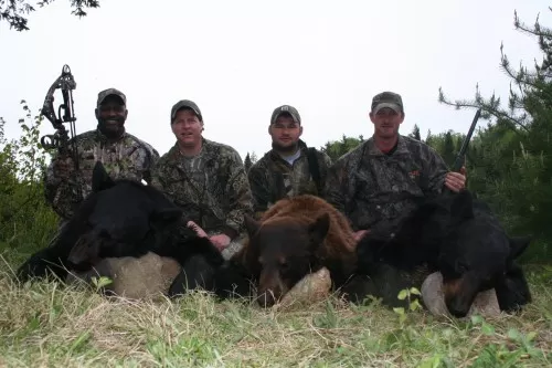 Three Bears One Day