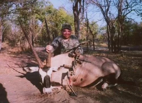41 Inches Of Horn