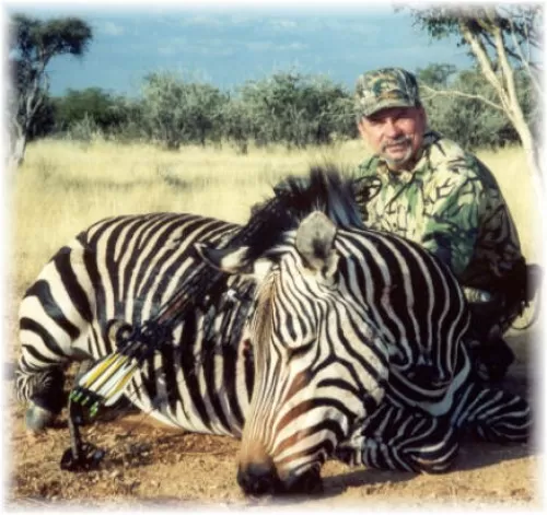 Zebra