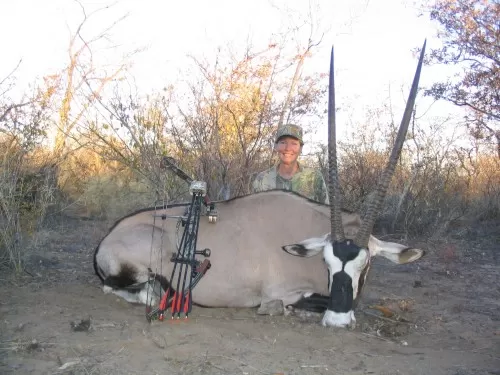 39 inch Gemsbuck Bull